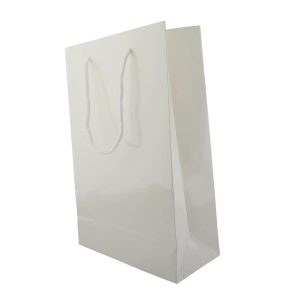 Bolsa-Papel-21x29-01 Bolsa Papel 21x29